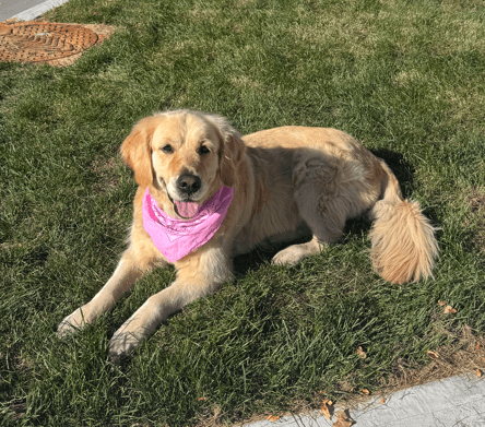 Bella